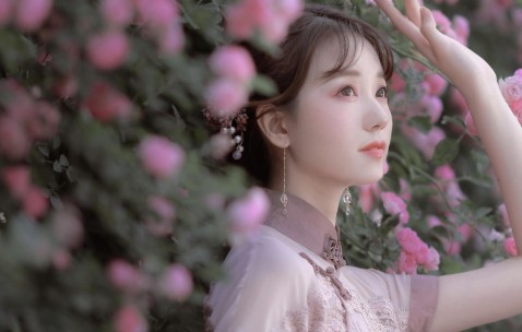 试管婴儿费用全解析，了解成本，明智决策