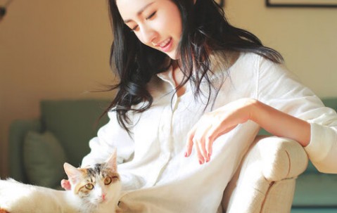 东北地区试管婴儿总费用全解析