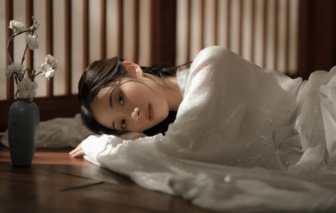 试管婴儿的费用，一个全面的解析